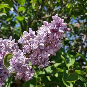 Meet your Posher, Rubi